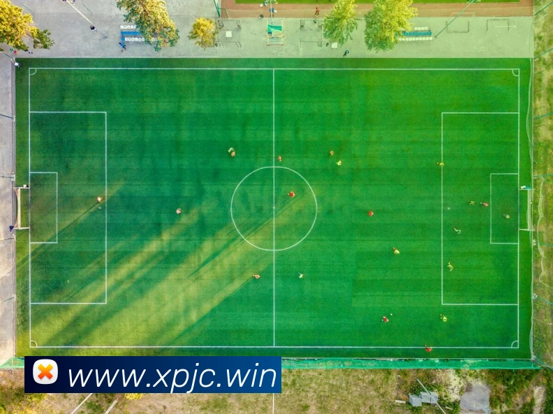 奖项图2
